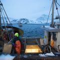 磷蝦的價值 | 挪威 OMEGA3